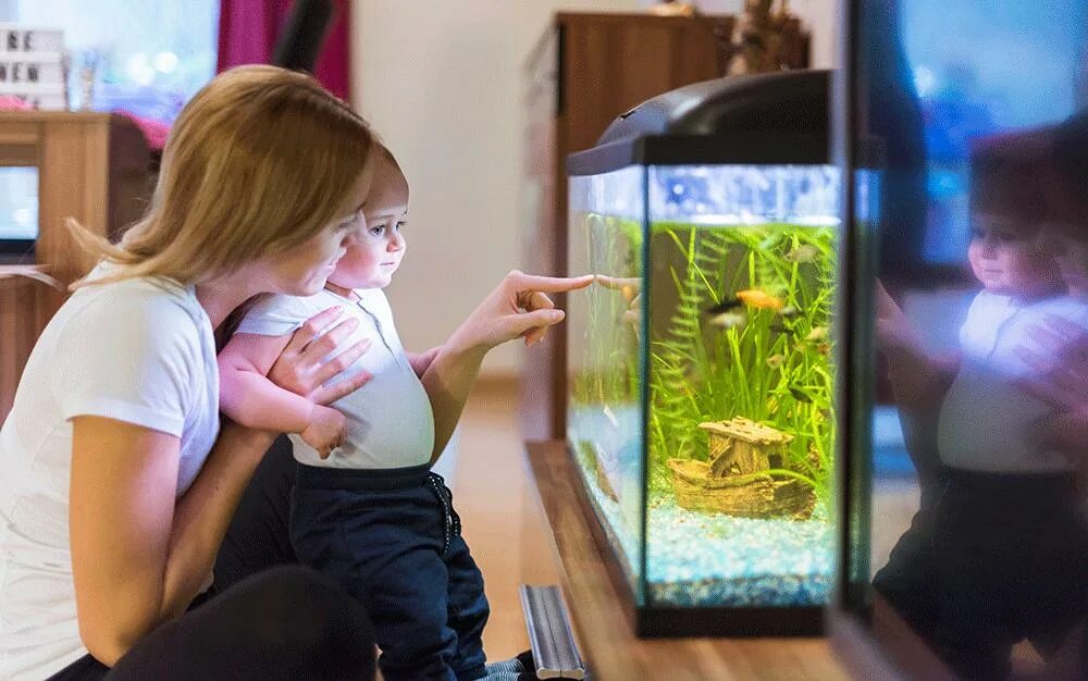 Аквариум (Fish Tank) 2009. Аквариум домашний с рыбками. Детский аквариум. Человек в аквариуме. В новый аквариум запустили 14 рыбок