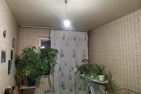 2 комнатная квартира зеленогорск красноярский край