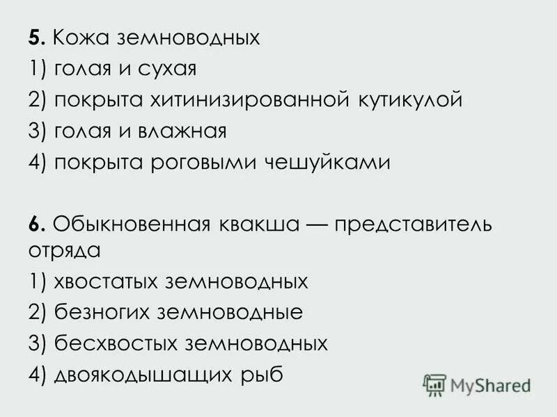 Значение кожи земноводных. Значение кожи земноводных