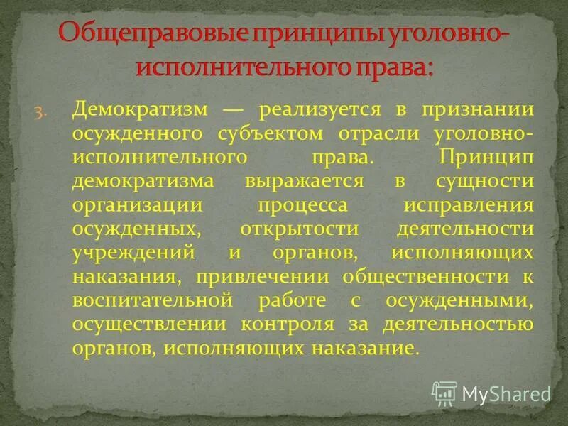 Общеправовым принципом является. Принцип демократизма в уголовно-исполнительном праве. Отраслевые принципы в уголовно-исполнительном законодательстве.