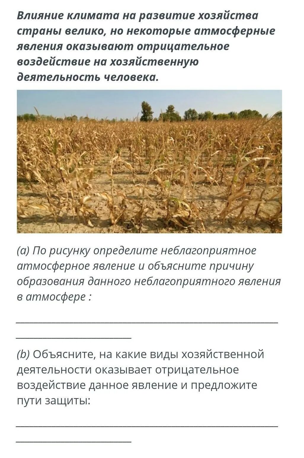 Определите неблагоприятное явление. Определите неблагоприятное атмосферное явление. таблица неблагоприятные атмосферные явления.