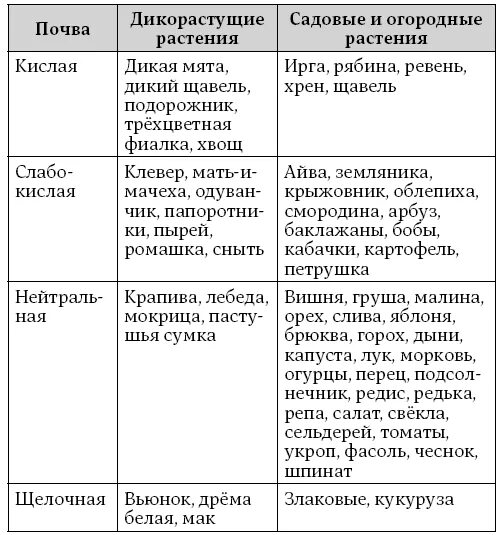 Какие растения в огороде любят кислую почву