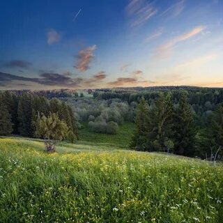 Просторы родины песни леса поля
