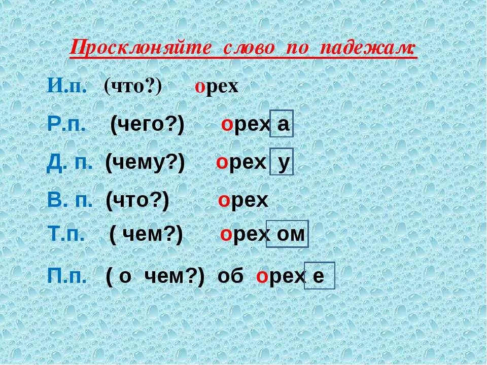 Одиннадцать просклонять по падежам