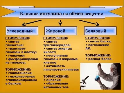 Действие на первых ролях