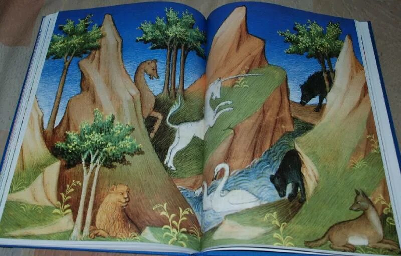 Fb2 книга чудес. Амбургская книга чудес. Чудеса природы книга 1997. Книга чудеса на кухне своими руками. Книга чудес ком