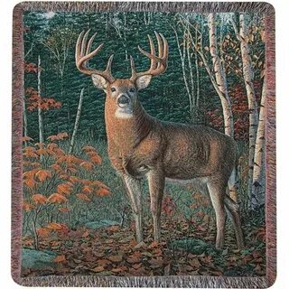 Wildlife wonderland