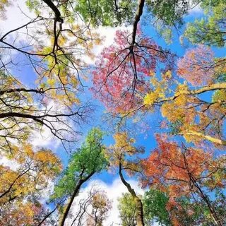 Осень с летом встречаются