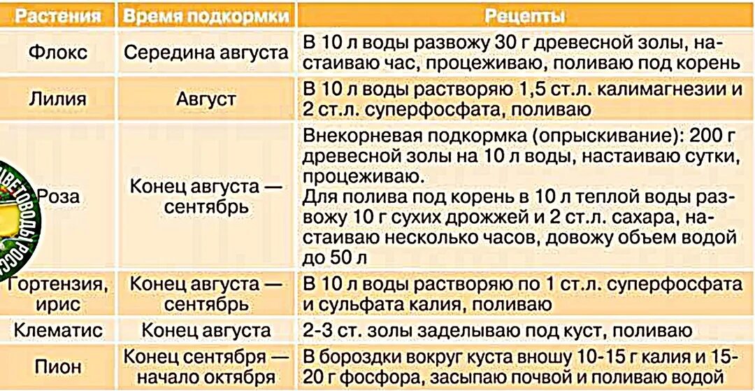 Подкормка хост в августе