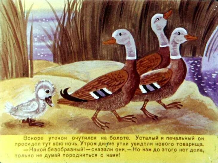 Конец сказки гадкий утенок. Ханс кристиан андендерсон гадкий утенок. Гадкий утенок 2010. Полностью сказку гадкий утенок. Сказки арденса гадкий утёнок.