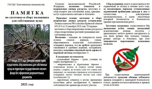 Сбор валежника в 2025. Памятка о сборе валежника. штраф за сбор валежника. что считается валежником по новому закону в лесу.