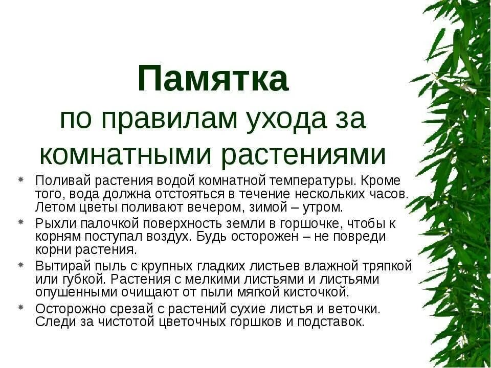 Календарь ухода за комнатными растениями март 2024. Правила ухода за комнатными растениями. Правило ухода за домашними цветами. Памятка по уходу за комнатными растениями. Памятка о комнатных растениях.