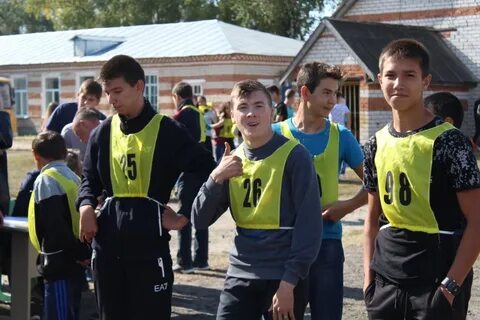 Сайт вурнарского сельскохозяйственного техникума