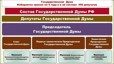 Из какого числа депутатов состоит государственная дума