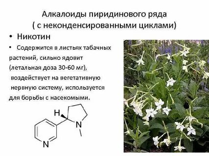 Алкалоиды это