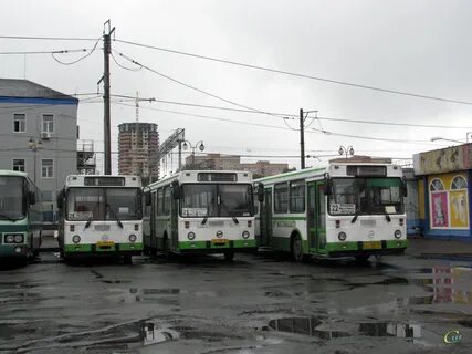 Автобусы слева