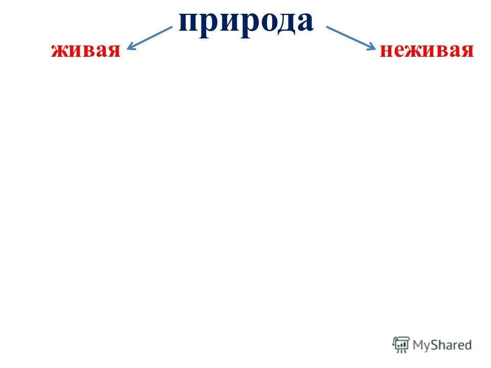 Переход от неживого к живому. Машина Живая или неживая природа. Вулкан это Живая или неживая природа. Природа Живая и неживая презентация 3 класс. Вирусы Живая или неживая природа.