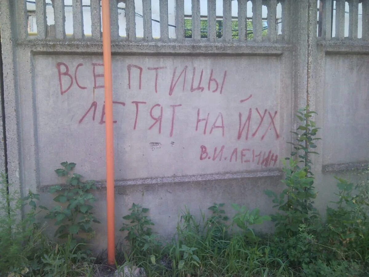 Читаю на заборе приехали диджеи. Надпись на заборе. прикольные надписи на заборе. смешные надписи на заборах. прикольный забор.