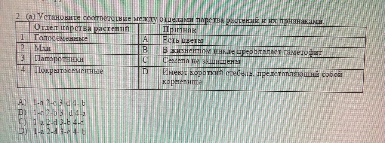 Установите соответствия n2o3. Установите соответствие между растениями и признаками. Установить соответствие между признаком и царством. Соответствие между царствами. Установите соответствие между характеристиками и царствами.