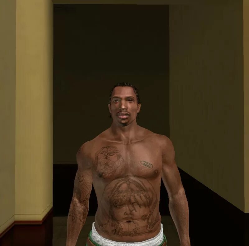 Cj san andreas. СИДЖЕЯ ГТА Сан андреас.