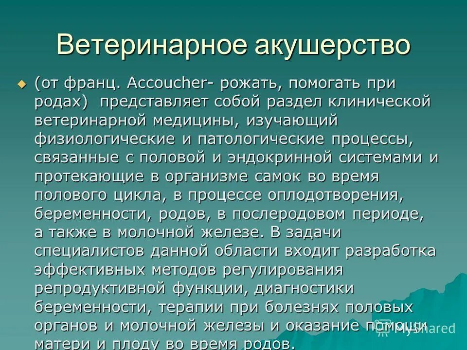 Род свой представляй. Составить генеалогическое древо своей семьи. Идолы рода примеры. Род свой представляй. Сила моего рода.