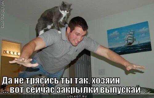 Рожденный ходить. Руки назад совсем прикол
