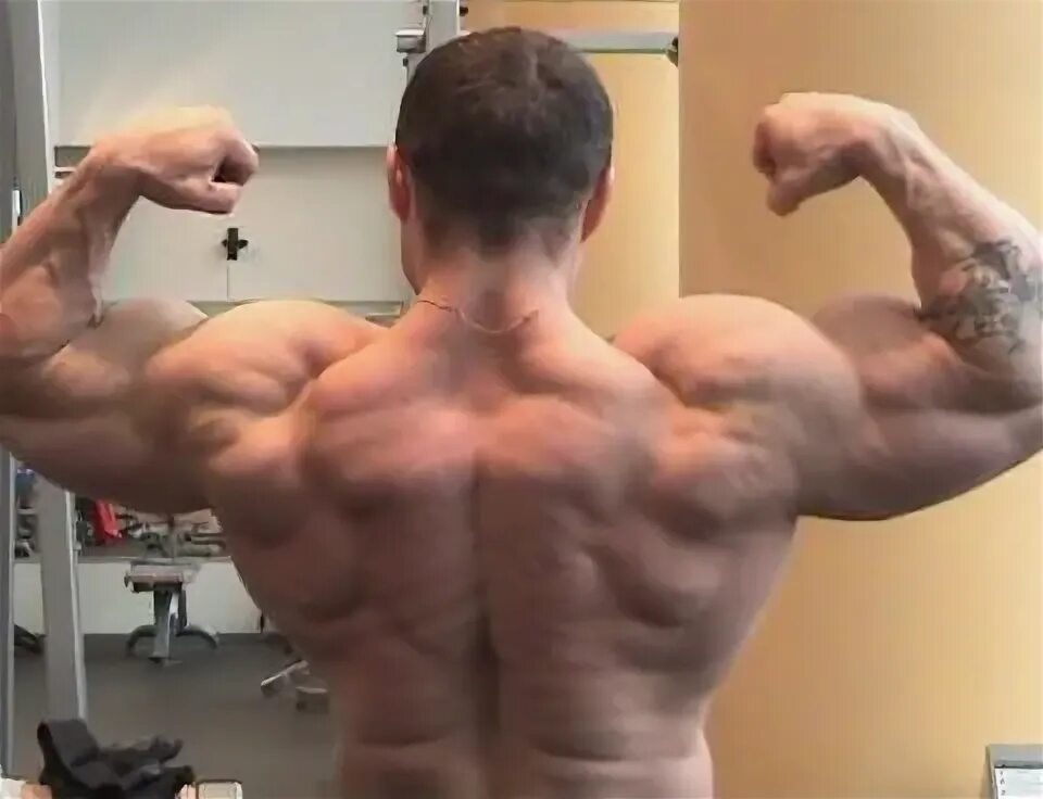 Александр вишняков. Александр вишняк фитнес. Бодибилдер андрей вишняков. Александр вишняк фитнес. Александр вишняк тренировки.