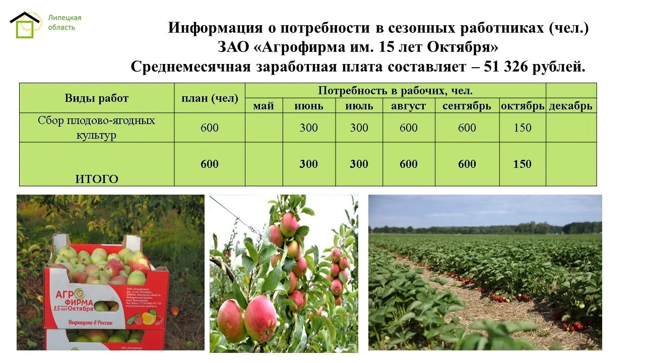 Сезонные профессии примеры. Положение о сезонных работах. Сезонные работы в трудовом праве. Особенности сезонных работ. Перечень сезонных работ.