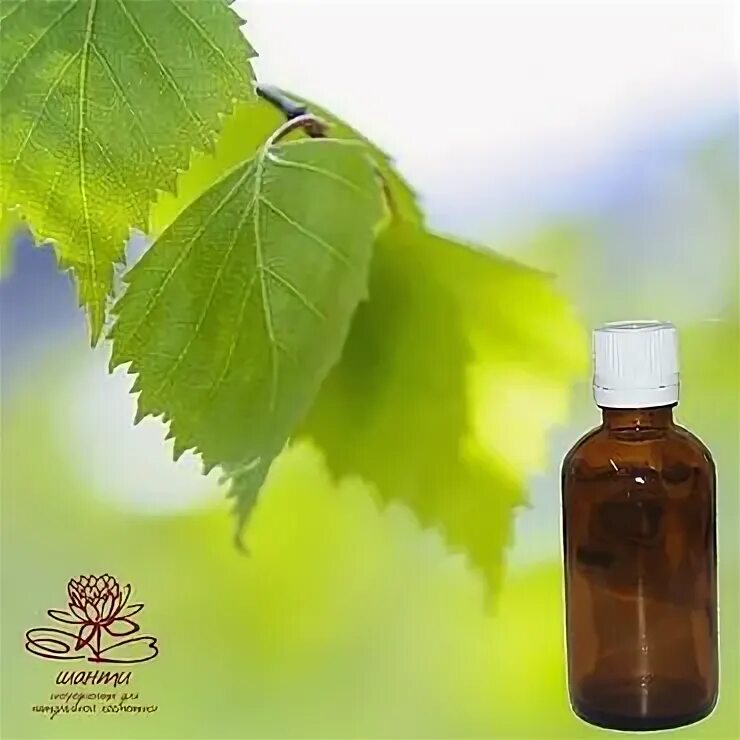 Гидролат "сирень". Гидролат липы тм скифия. Гидролат листьев. Гидролат листьев. Тургеневский гидролат.