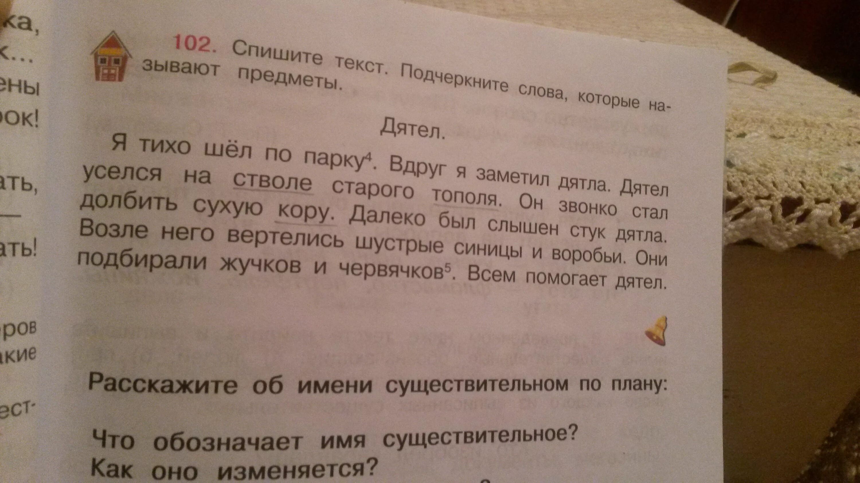 Подчеркни слово которое девочки. Текст про Мишу и дятла. Текст Миша тихо шел по лесу. Миша тихо шел по лесу вдруг Миша заметил дятла. Подчеркнуть слова называющие предметы.