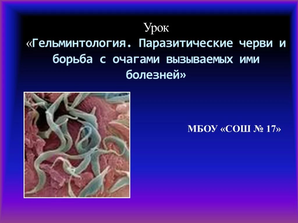 Паразитические черви имеют. Гельминтология черви паразиты. Паразитические черви урок биологии. Паразитические черви презентация. Презентация на тему гельминтология.