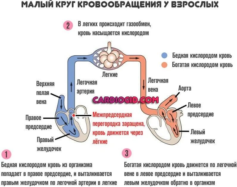 В нормальном открой