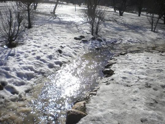 Весенние ручьи в городе. Весенний Ручеек.