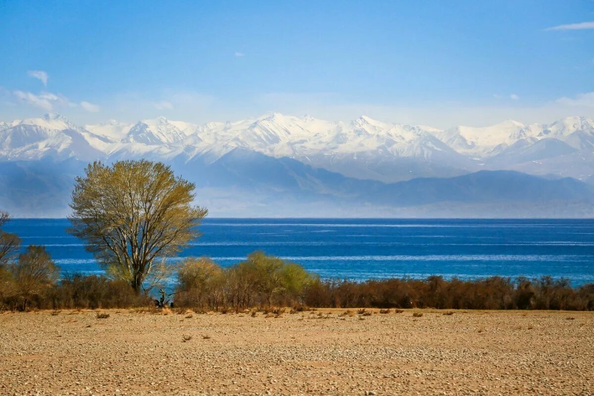 Иссык-Куль Киргизия. Иссык-Куль и горы. Горы Иссык-Куль Киргизия. Природа Кыргызстана Иссык Куль.