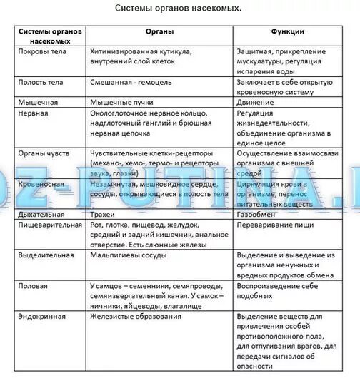 Ответы Mail.ru: Помогите! Система органов насекомых - органы и функции. Спасибо!