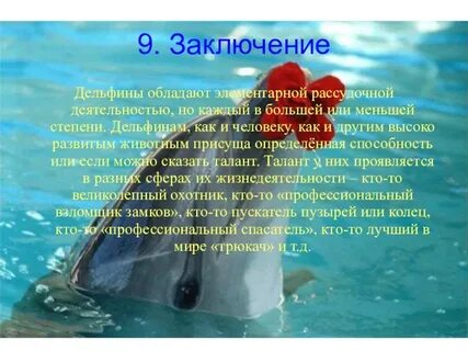 Легенда поведала