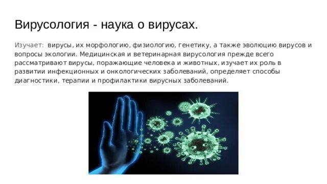 Наука изучающая вирусы