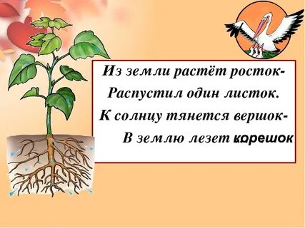 Росток объяснение написания