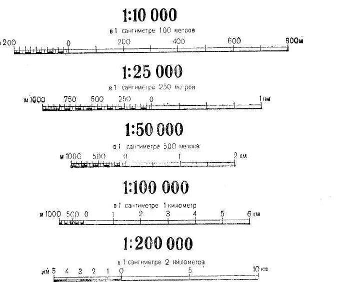 Обозначение масштаба на карте. Масштабная линейка на чертеже 1 100. Линейный масштаб на топографической карте. Линейный и численный масштабы на топографических картах.