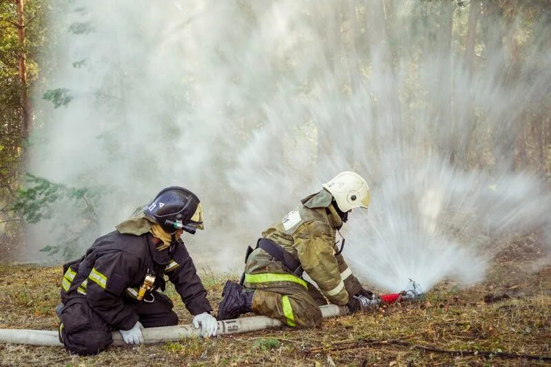 Противопожарный режим Воронежская обл. В Башкирии с 17 апреля вводится особый противопожарный режим.
