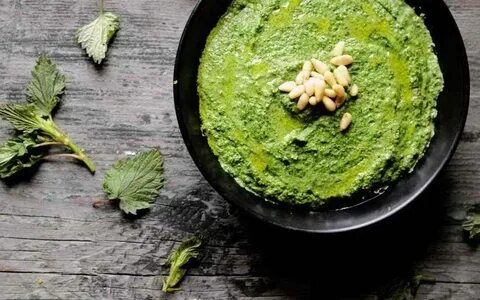 Крапива вкусная