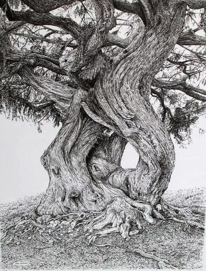Tree pen