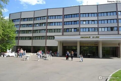 Лесные дали пансионат корпуса