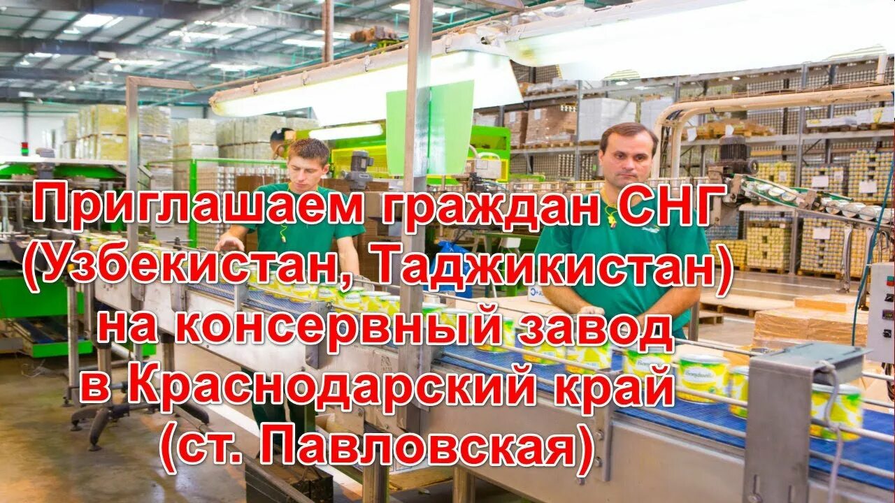 Работа в Москве для граждан СНГ, Узбекистан. Вакансии для СНГ. Вакансии Краснодарский край. В Москве фабрика работа вакансии гражданин Узбекистана.