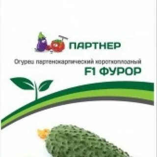 Огурец фурор