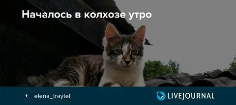 Ну что утро началось