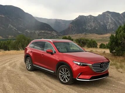 Cx 9 2023