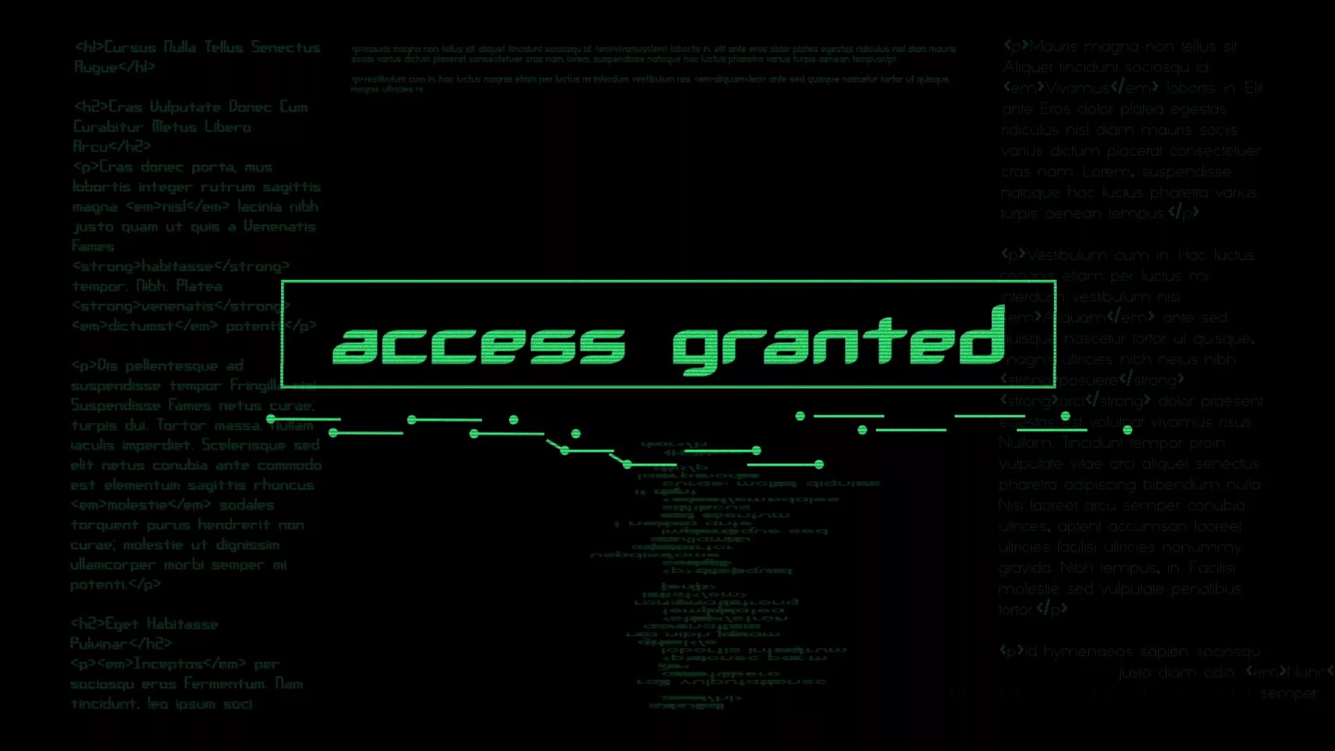 Access granted