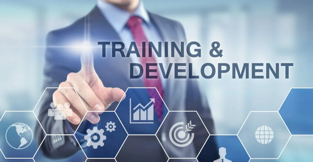 Training and Development. Training and professional Development. Train Development. Personel Training and Development. Training development