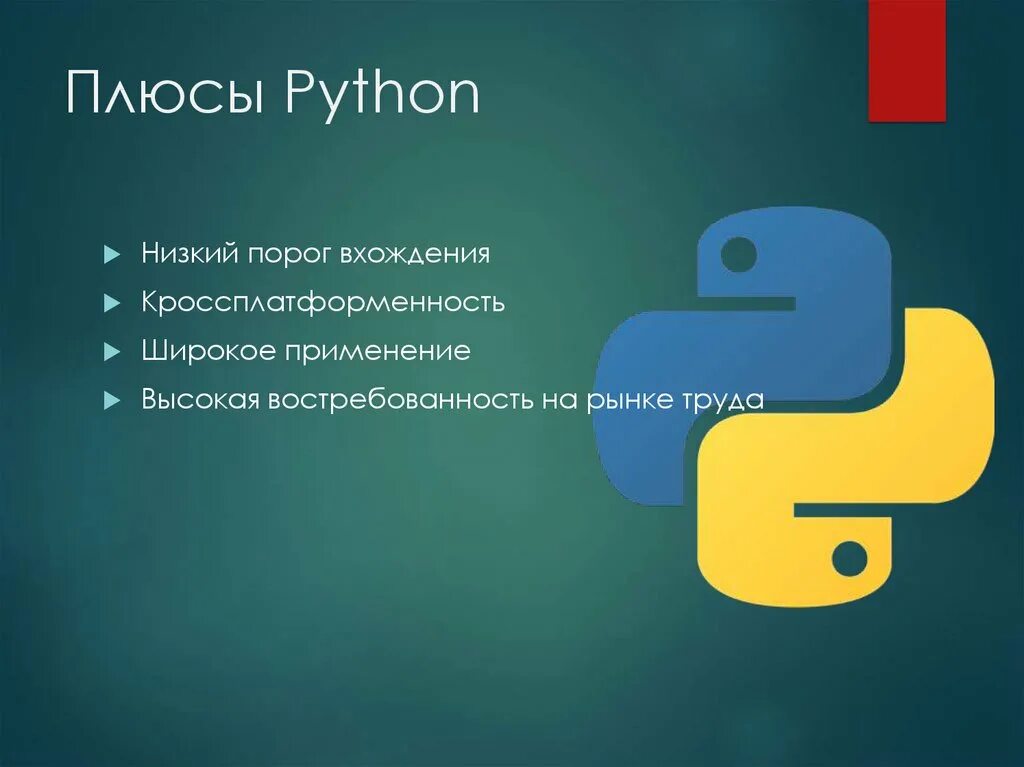 Пайтон отзывы